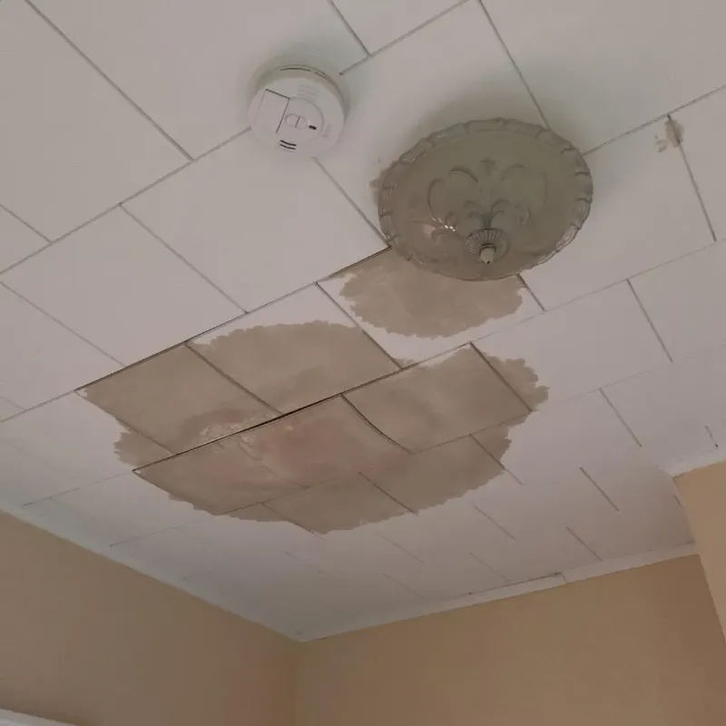 Ceiling Water Damage Repair in Peachtree City, GA