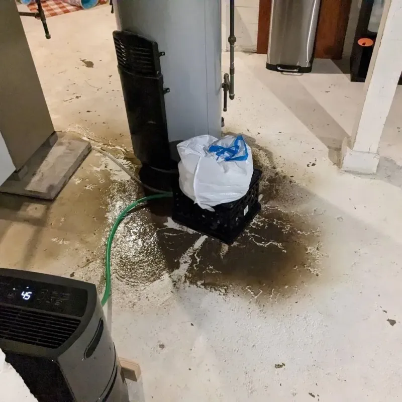 Sewage Backup Cleanup Service in Peachtree City, GA